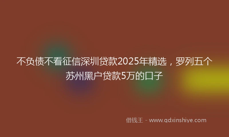 不负债不看征信深圳贷款2025年精选，罗列五个苏州黑户贷款5万的口子