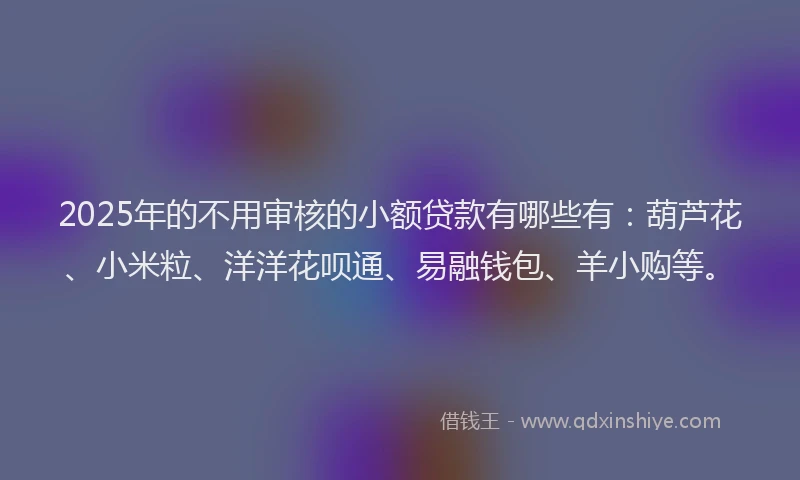2025年的不用审核的小额贷款有哪些有：葫芦花、小米粒、洋洋花呗通、易融钱包、羊小购等。