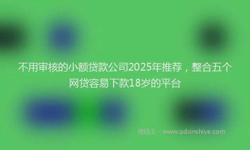 不用审核的小额贷款公司2025年推荐，整合五个网贷容易下款18岁的平台
