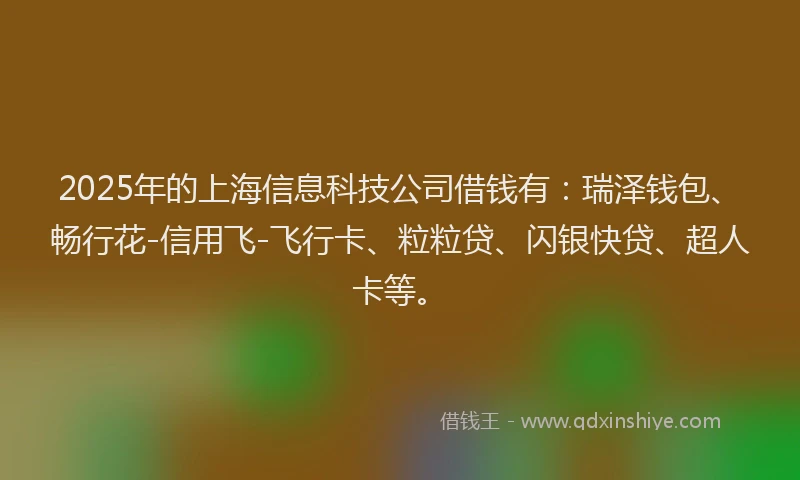 2025年的上海信息科技公司借钱有：瑞泽钱包、畅行花-信用飞-飞行卡、粒粒贷、闪银快贷、超人卡等。