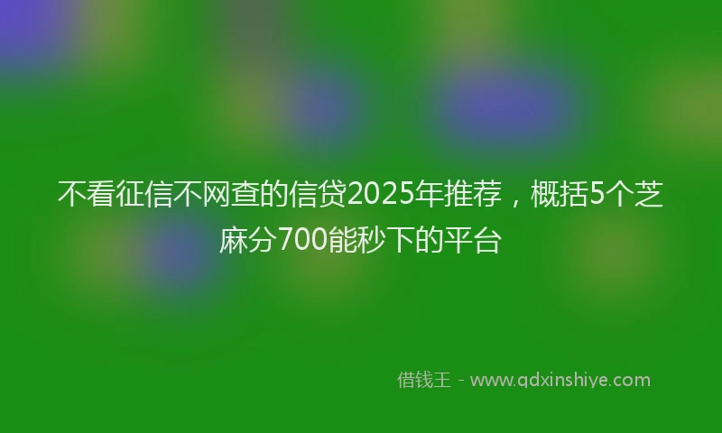 不看征信不网查的信贷2025年推荐，概括5个芝麻分700能秒下的平台