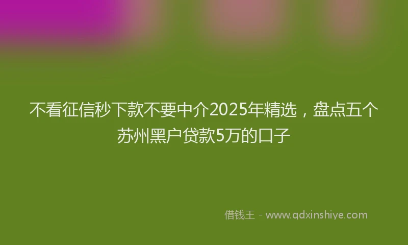 不看征信秒下款不要中介2025年精选，盘点五个苏州黑户贷款5万的口子