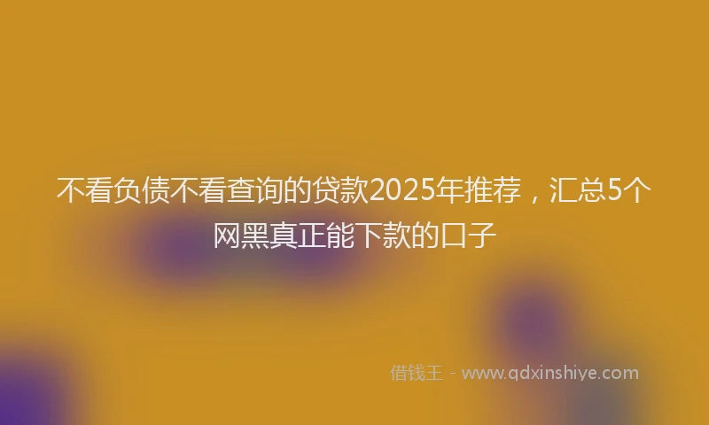 不看负债不看查询的贷款2025年推荐，汇总5个网黑真正能下款的口子