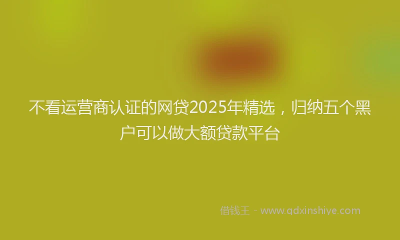 不看运营商认证的网贷2025年精选，归纳五个黑户可以做大额贷款平台