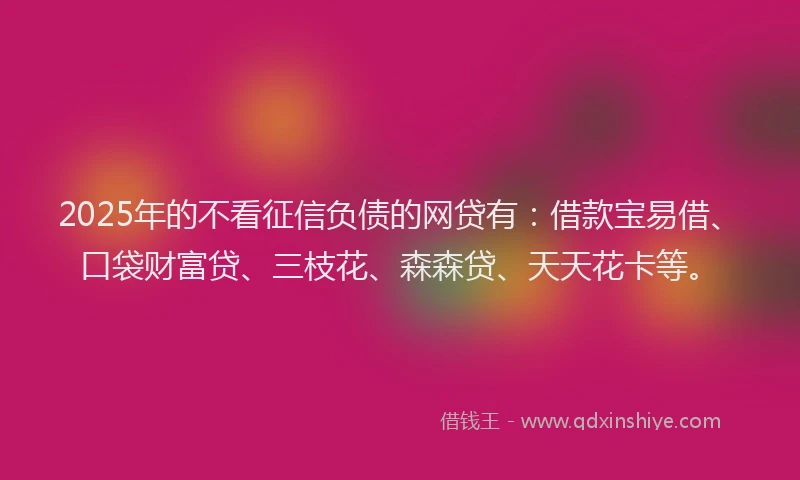 2025年的不看征信负债的网贷有：借款宝易借、口袋财富贷、三枝花、森森贷、天天花卡等。