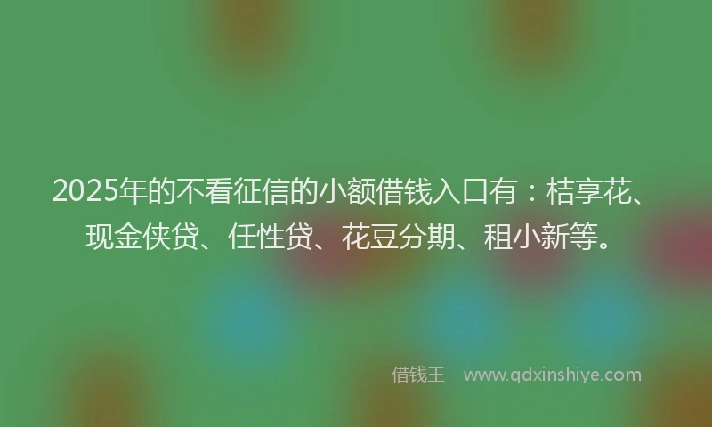 2025年的不看征信的小额借钱入口有：桔享花、现金侠贷、任性贷、花豆分期、租小新等。