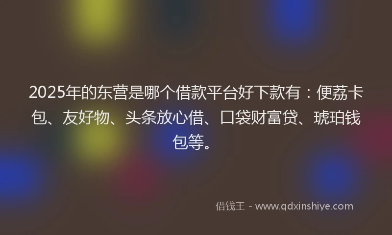 2025年的东营是哪个借款平台好下款有：便荔卡包、友好物、头条放心借、口袋财富贷、琥珀钱包等。