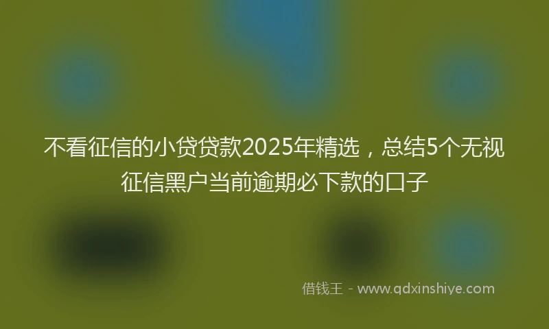 不看征信的小贷贷款2025年精选，总结5个无视征信黑户当前逾期必下款的口子