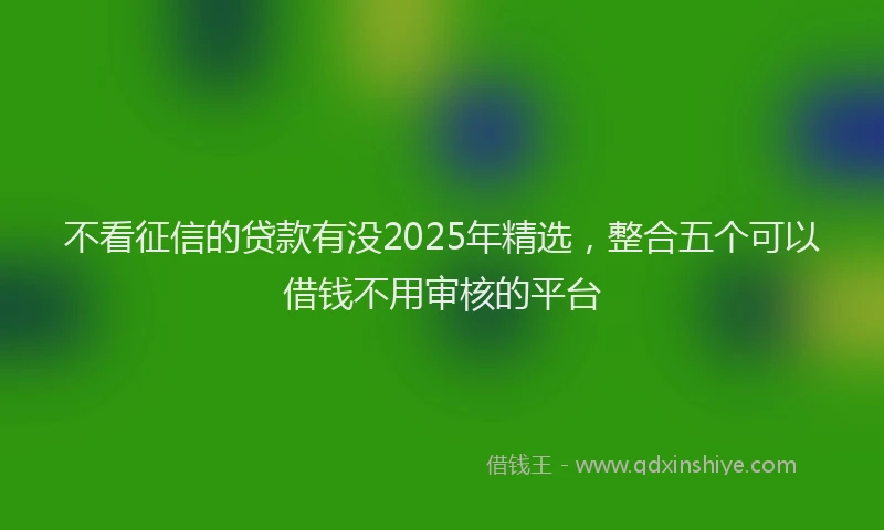 不看征信的贷款有没2025年精选，整合五个可以借钱不用审核的平台