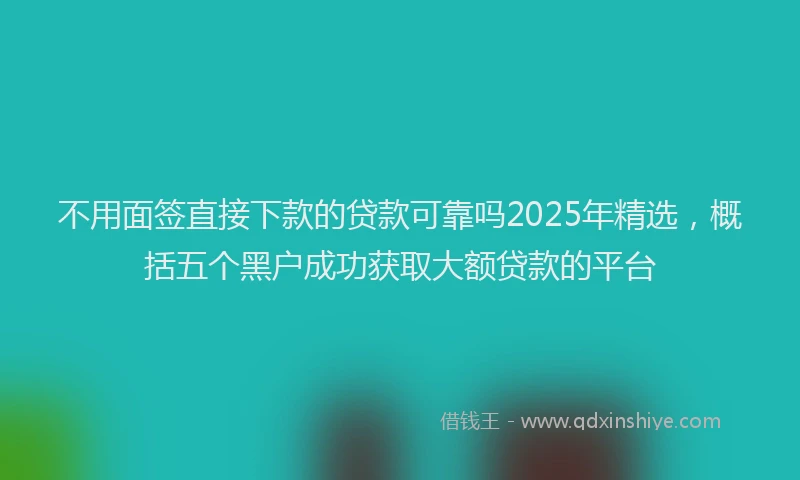 不用面签直接下款的贷款可靠吗2025年精选，概括五个黑户成功获取大额贷款的平台