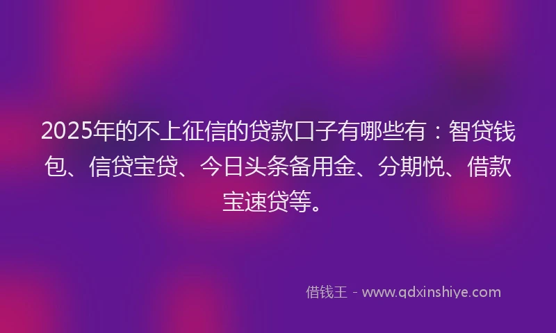 2025年的不上征信的贷款口子有哪些有：智贷钱包、信贷宝贷、今日头条备用金、分期悦、借款宝速贷等。
