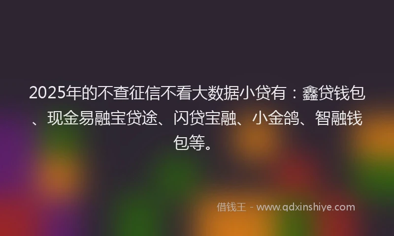2025年的不查征信不看大数据小贷有：鑫贷钱包、现金易融宝贷途、闪贷宝融、小金鸽、智融钱包等。