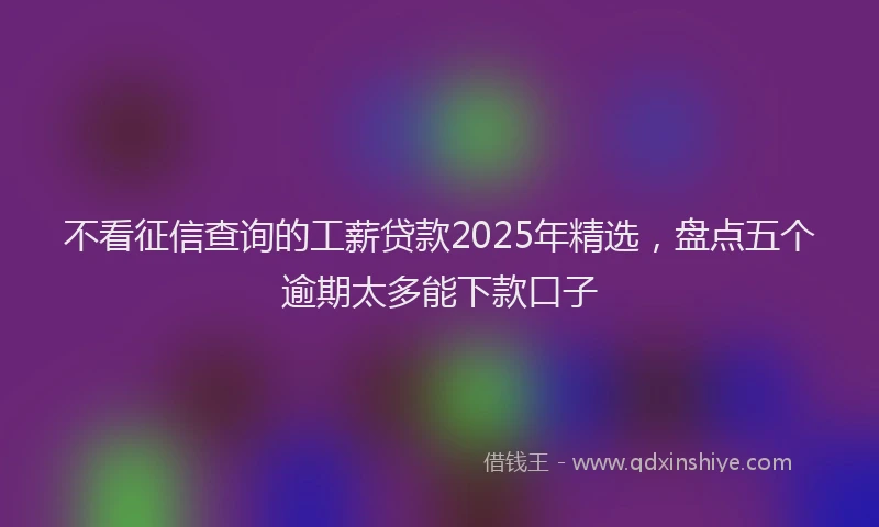 不看征信查询的工薪贷款2025年精选，盘点五个逾期太多能下款口子