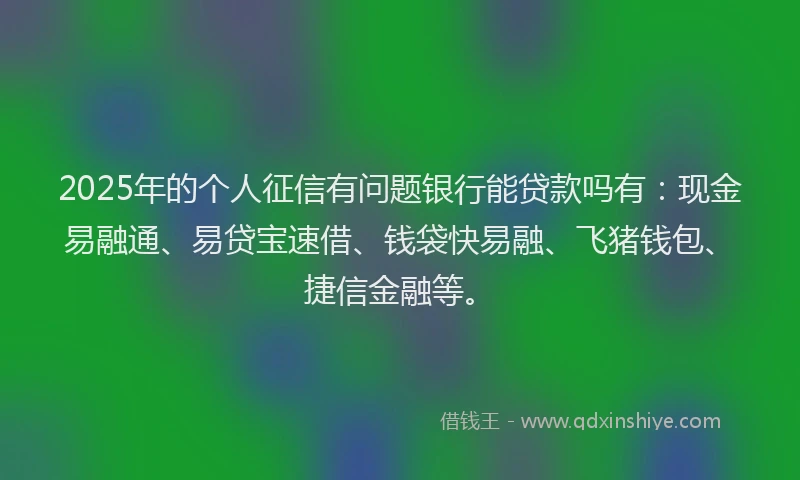 2025年的个人征信有问题银行能贷款吗有：现金易融通、易贷宝速借、钱袋快易融、飞猪钱包、捷信金融等。