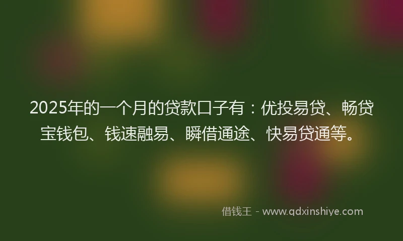 2025年的一个月的贷款口子有：优投易贷、畅贷宝钱包、钱速融易、瞬借通途、快易贷通等。