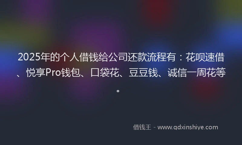 2025年的个人借钱给公司还款流程有：花呗速借、悦享Pro钱包、口袋花、豆豆钱、诚信一周花等。