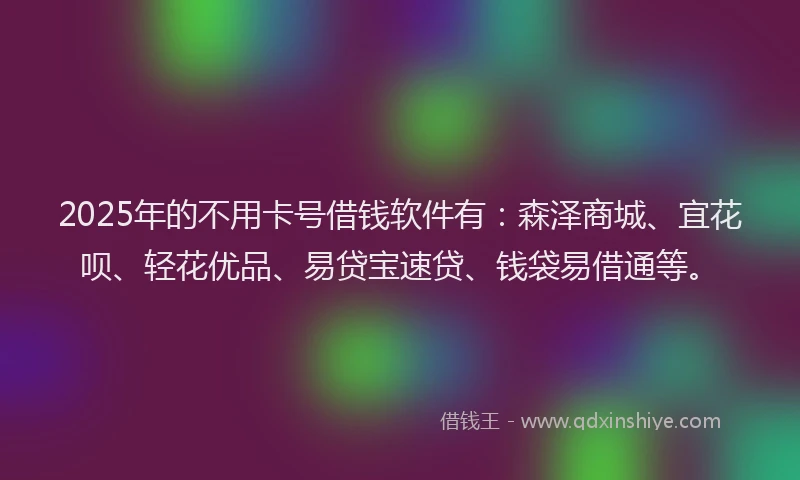 2025年的不用卡号借钱软件有：森泽商城、宜花呗、轻花优品、易贷宝速贷、钱袋易借通等。