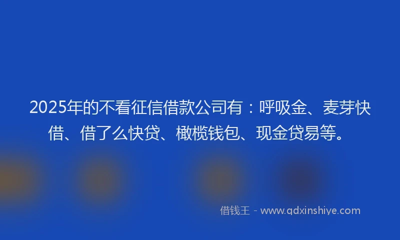 2025年的不看征信借款公司有：呼吸金、麦芽快借、借了么快贷、橄榄钱包、现金贷易等。