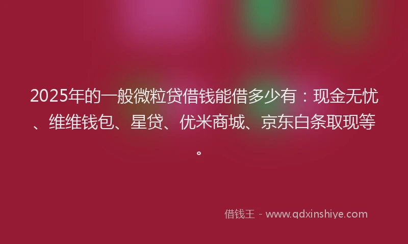 2025年的一般微粒贷借钱能借多少有：现金无忧、维维钱包、星贷、优米商城、京东白条取现等。