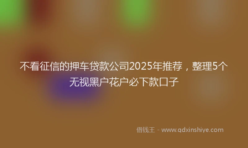 不看征信的押车贷款公司2025年推荐，整理5个无视黑户花户必下款口子