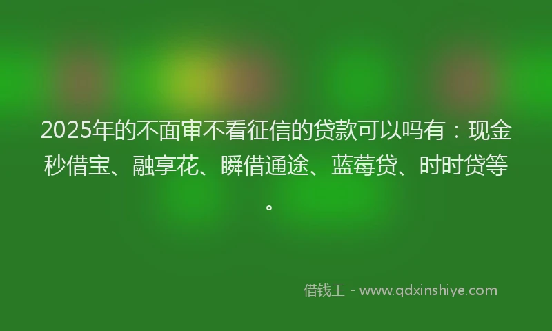 2025年的不面审不看征信的贷款可以吗有：现金秒借宝、融享花、瞬借通途、蓝莓贷、时时贷等。