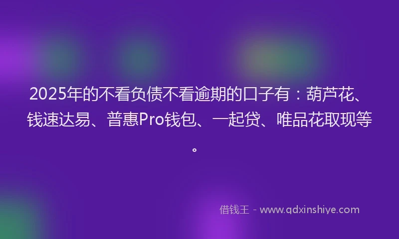 2025年的不看负债不看逾期的口子有：葫芦花、钱速达易、普惠Pro钱包、一起贷、唯品花取现等。