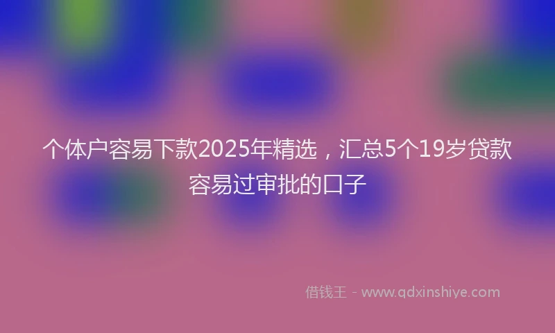个体户容易下款2025年精选，汇总5个19岁贷款容易过审批的口子