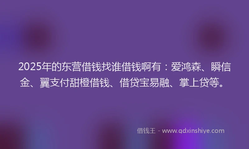 2025年的东营借钱找谁借钱啊有：爱鸿森、瞬信金、翼支付甜橙借钱、借贷宝易融、掌上贷等。