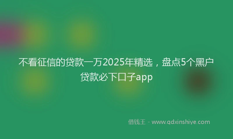 不看征信的贷款一万2025年精选，盘点5个黑户贷款必下口子app