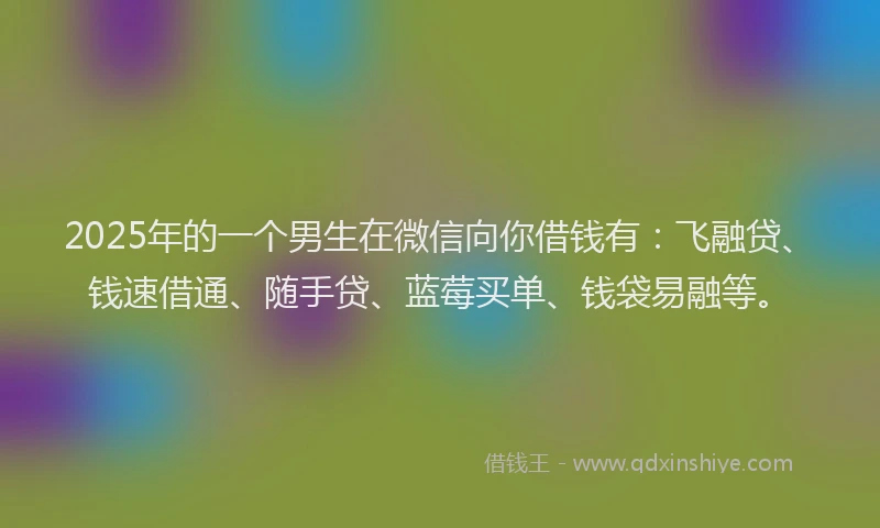 2025年的一个男生在微信向你借钱有：飞融贷、钱速借通、随手贷、蓝莓买单、钱袋易融等。