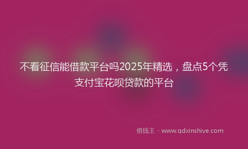 不看征信能借款平台吗2025年精选，盘点5个凭支付宝花呗贷款的平台