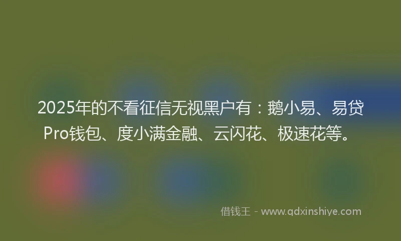 2025年的不看征信无视黑户有：鹅小易、易贷Pro钱包、度小满金融、云闪花、极速花等。