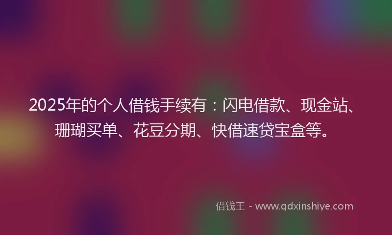 2025年的个人借钱手续有：闪电借款、现金站、珊瑚买单、花豆分期、快借速贷宝盒等。