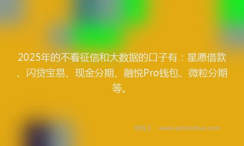 2025年的不看征信和大数据的口子有：星愿借款、闪贷宝易、现金分期、融悦Pro钱包、微粒分期等。