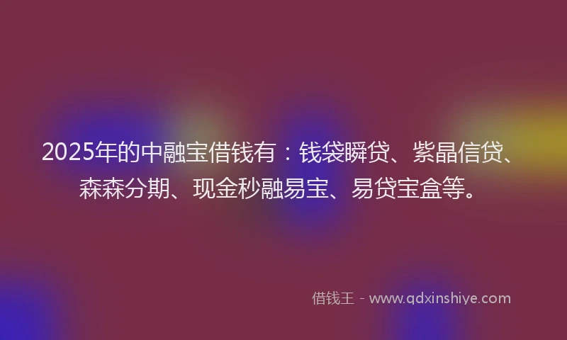 2025年的中融宝借钱有：钱袋瞬贷、紫晶信贷、森森分期、现金秒融易宝、易贷宝盒等。