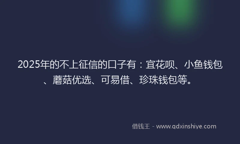 2025年的不上征信的口子有：宜花呗、小鱼钱包、蘑菇优选、可易借、珍珠钱包等。