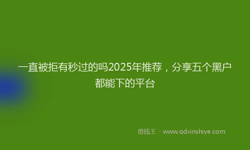 一直被拒有秒过的吗2025年推荐，分享五个黑户都能下的平台