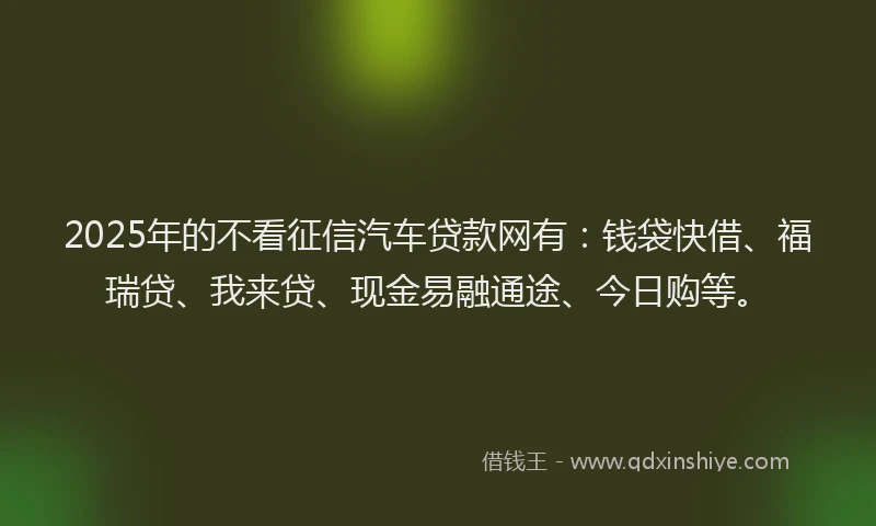2025年的不看征信汽车贷款网有：钱袋快借、福瑞贷、我来贷、现金易融通途、今日购等。
