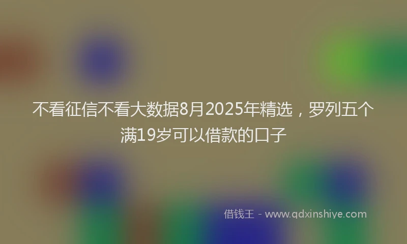 不看征信不看大数据8月2025年精选，罗列五个满19岁可以借款的口子