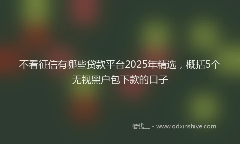不看征信有哪些贷款平台2025年精选，概括5个无视黑户包下款的口子