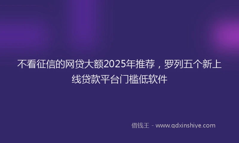 不看征信的网贷大额2025年推荐，罗列五个新上线贷款平台门槛低软件