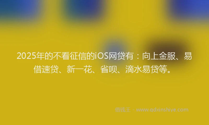 2025年的不看征信的iOS网贷有：向上金服、易借速贷、新一花、省呗、滴水易贷等。