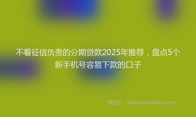 不看征信负责的分期贷款2025年推荐，盘点5个新手机号容易下款的口子