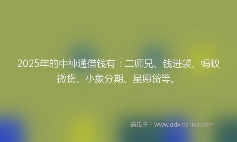 2025年的中神通借钱有：二师兄、钱进袋、蚂蚁微贷、小象分期、星愿贷等。