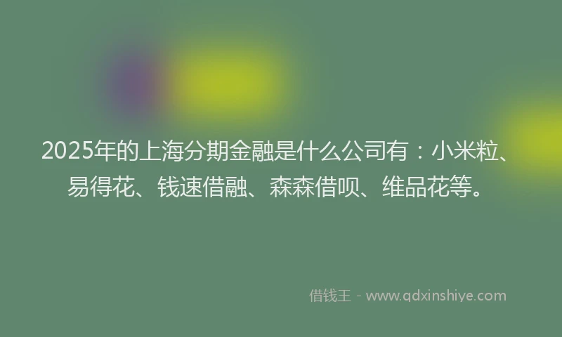 2025年的上海分期金融是什么公司有：小米粒、易得花、钱速借融、森森借呗、维品花等。