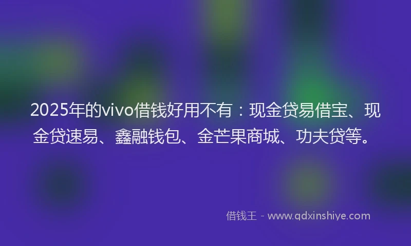 2025年的vivo借钱好用不有：现金贷易借宝、现金贷速易、鑫融钱包、金芒果商城、功夫贷等。