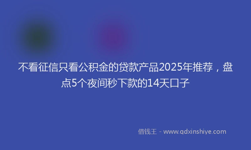 不看征信只看公积金的贷款产品2025年推荐，盘点5个夜间秒下款的14天口子