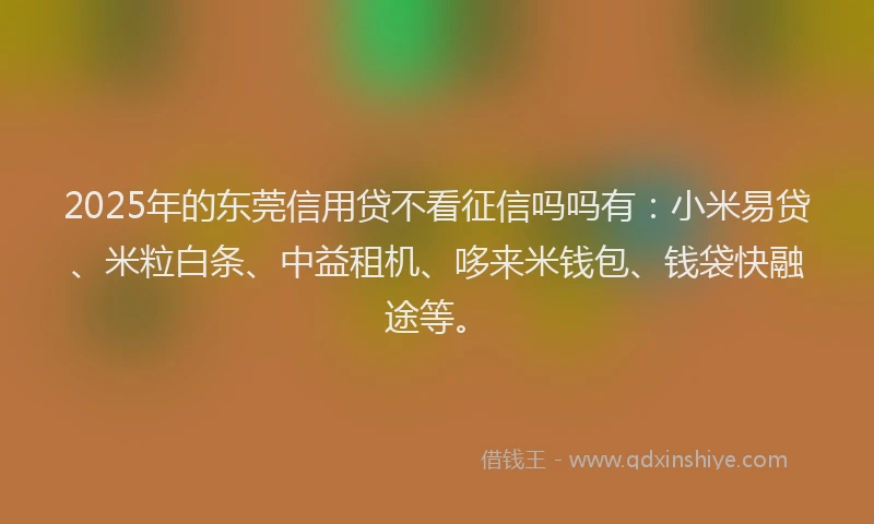 2025年的东莞信用贷不看征信吗吗有：小米易贷、米粒白条、中益租机、哆来米钱包、钱袋快融途等。