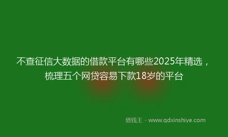不查征信大数据的借款平台有哪些2025年精选，梳理五个网贷容易下款18岁的平台