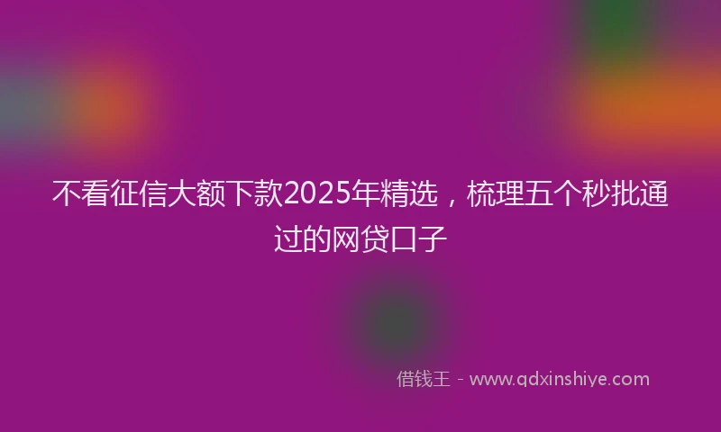 不看征信大额下款2025年精选，梳理五个秒批通过的网贷口子